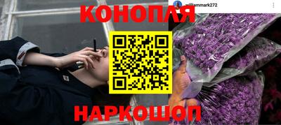 герыч Дубна