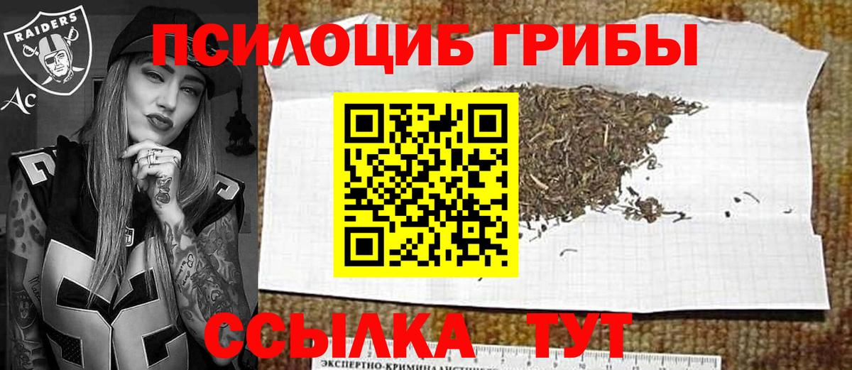 Псилоцибиновые грибы GOLDEN TEACHER Пермь