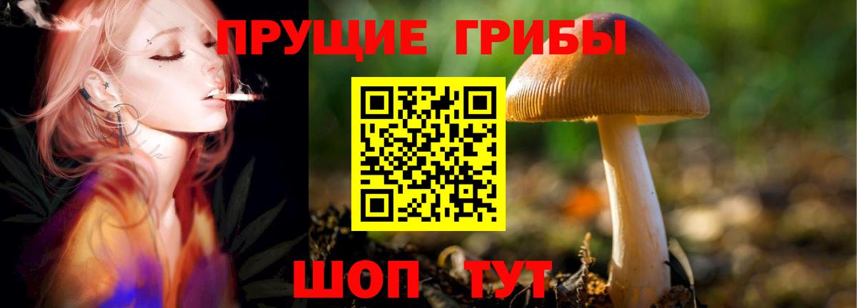 Псилоцибиновые грибы GOLDEN TEACHER  Вход с VPN  Пермь 